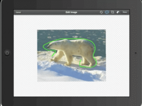 {{brizy_dc_image_alt entityId=