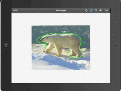 {{brizy_dc_image_alt entityId=